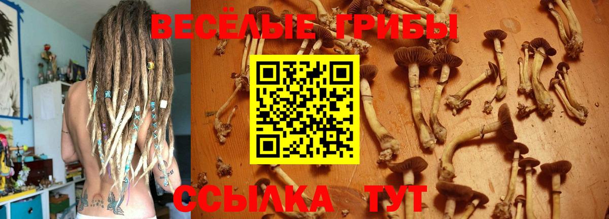 Псилоцибиновые грибы GOLDEN TEACHER  Вход с VPN  Хабаровск 
